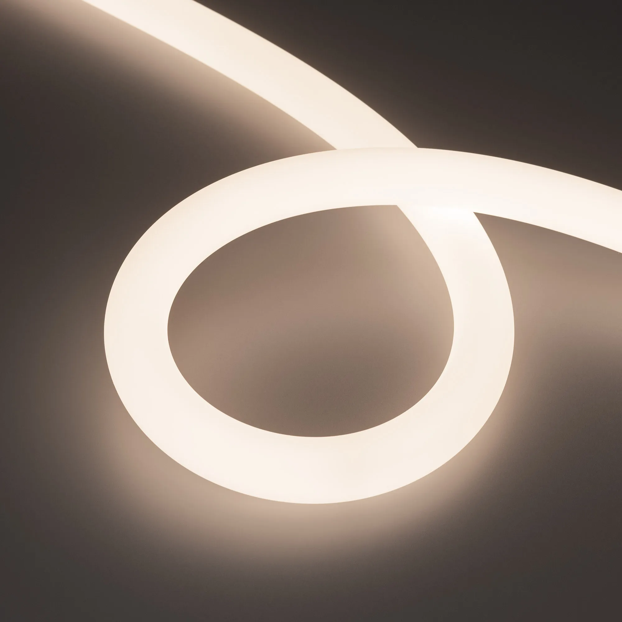 Лента светодиодная герметичная MOONLIGHT-TOP-FP-X1088-D25mm 24V Day4000 (20 W/m, IP65, 5m, wire x1) (Arlight, Вывод прямой, 3 года)