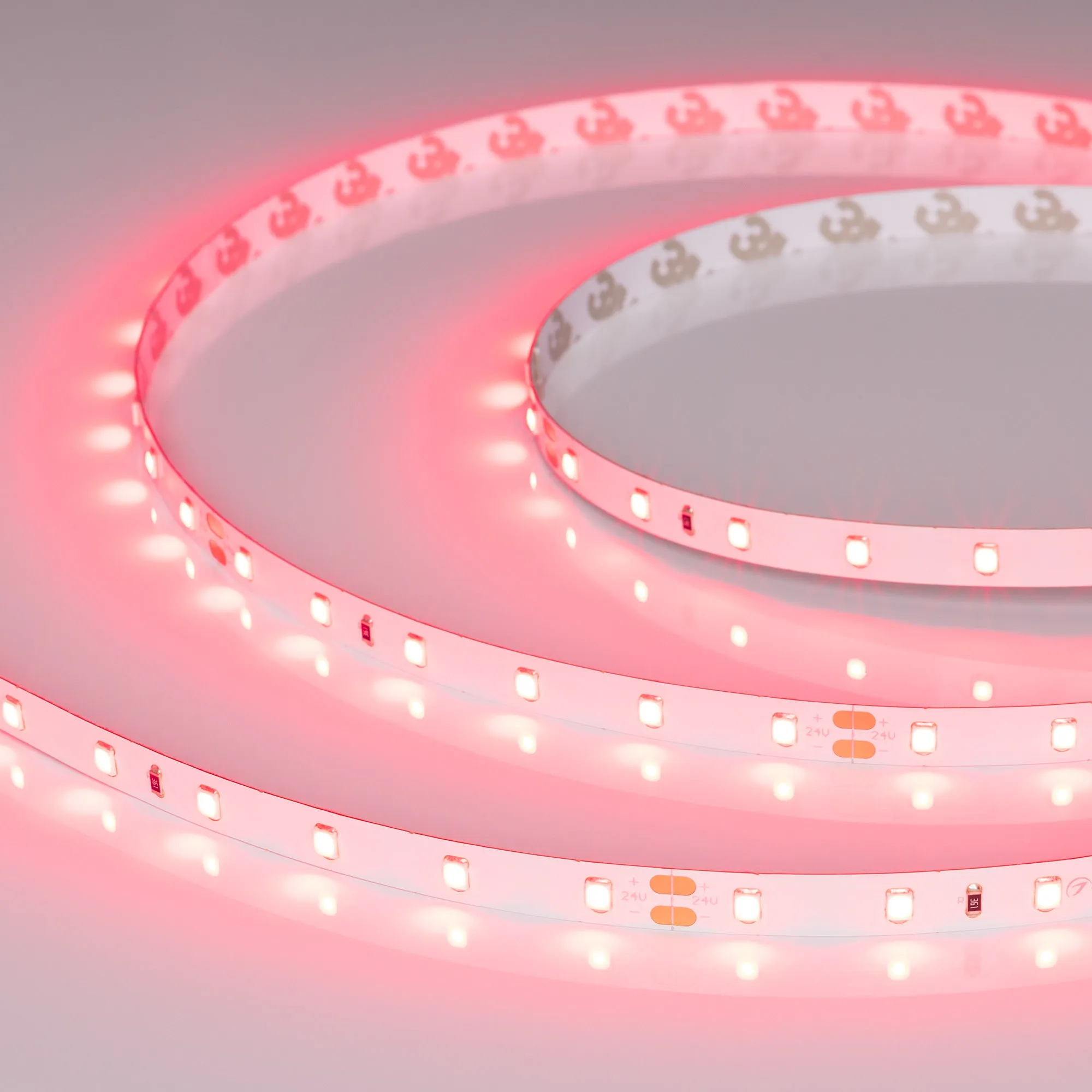 Лента RT-A60-8mm 24V Ruby (4.8 W/m, IP20, 5m) (Arlight, -) - изображение товара